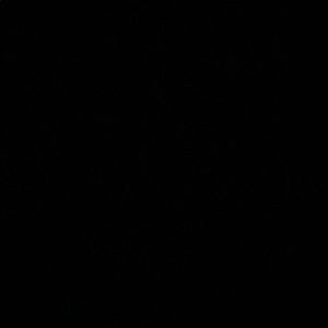 Meet your Posher, Ericka